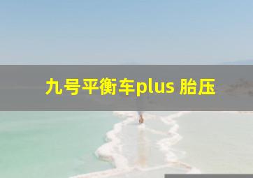 九号平衡车plus 胎压